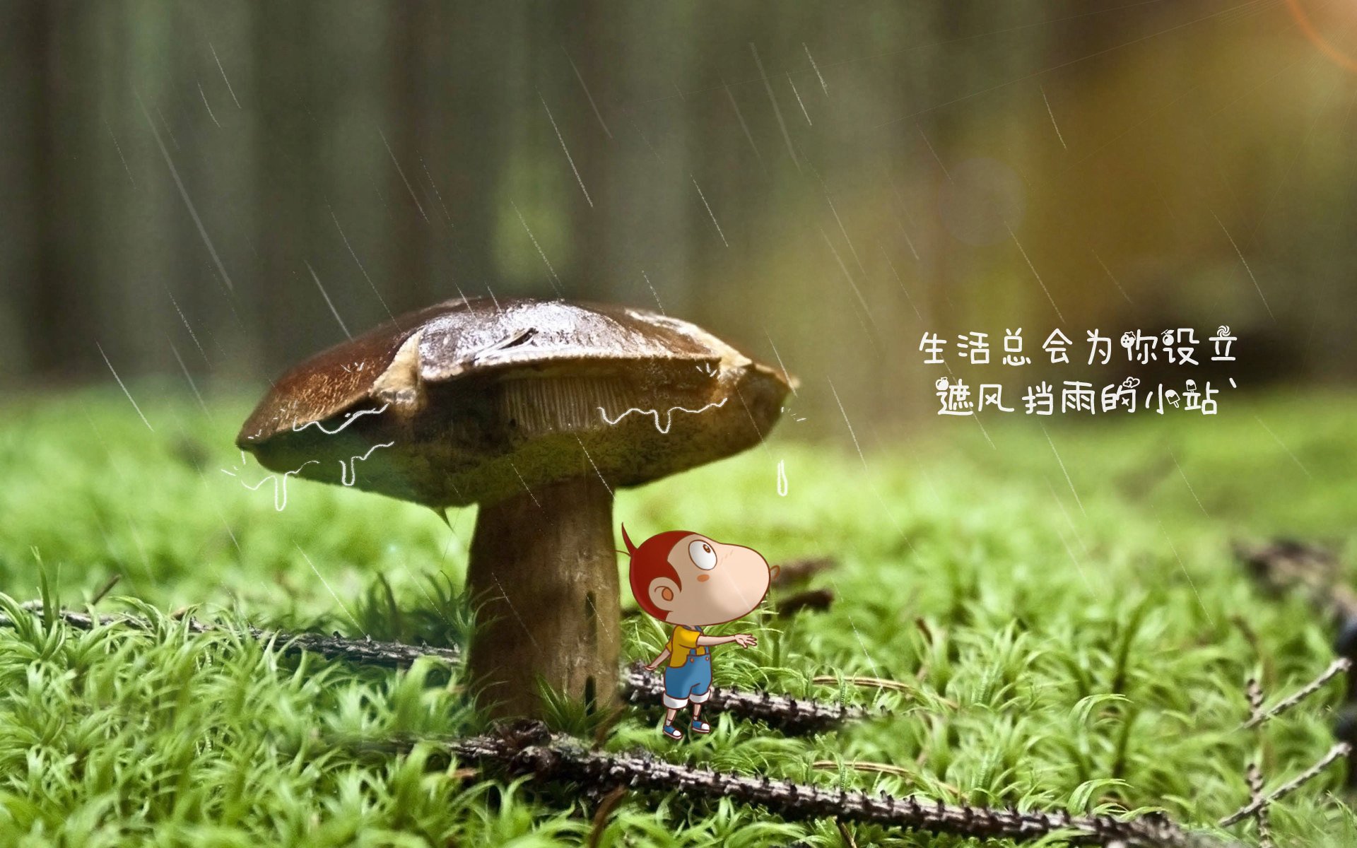各队“战术大比拼”：谁的战局更具智慧？，队伍战术