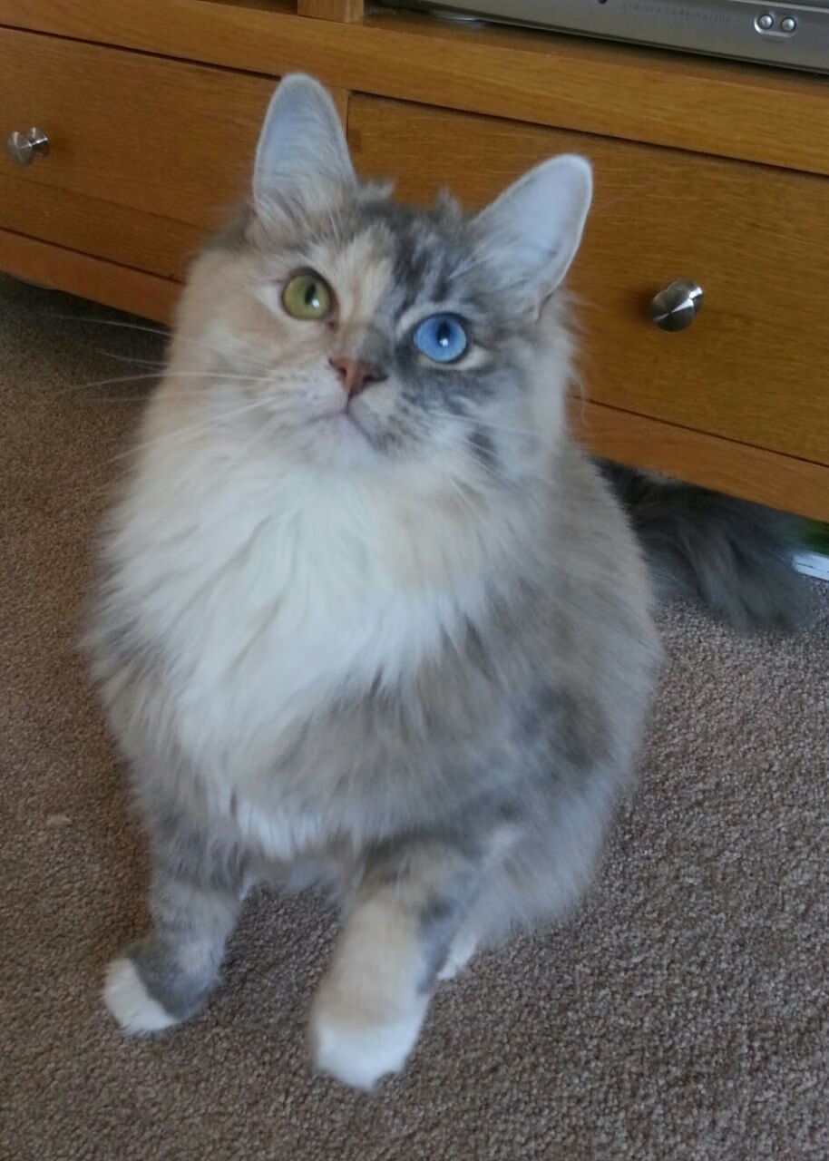 特色篮球文化在新媒体平台持续推广，扩大影响力，篮球文化理念