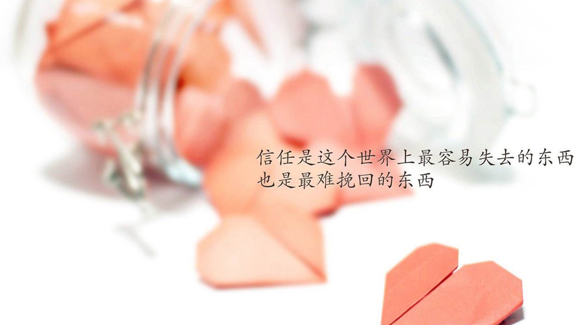 勒沃库森年轻小将成焦点，勒沃库森青训