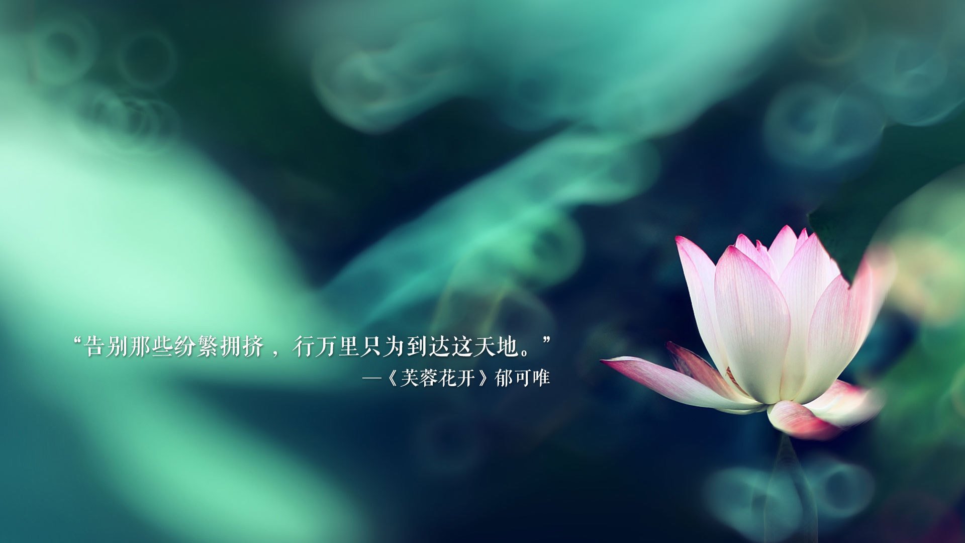 灰熊队主帅：球队需要加强进攻端表现，灰熊队的主场
