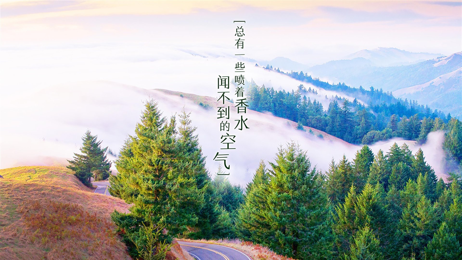 美国队赛制解读：如何通过赛制提升球员的适应能力与灵活性，美国队申请重赛