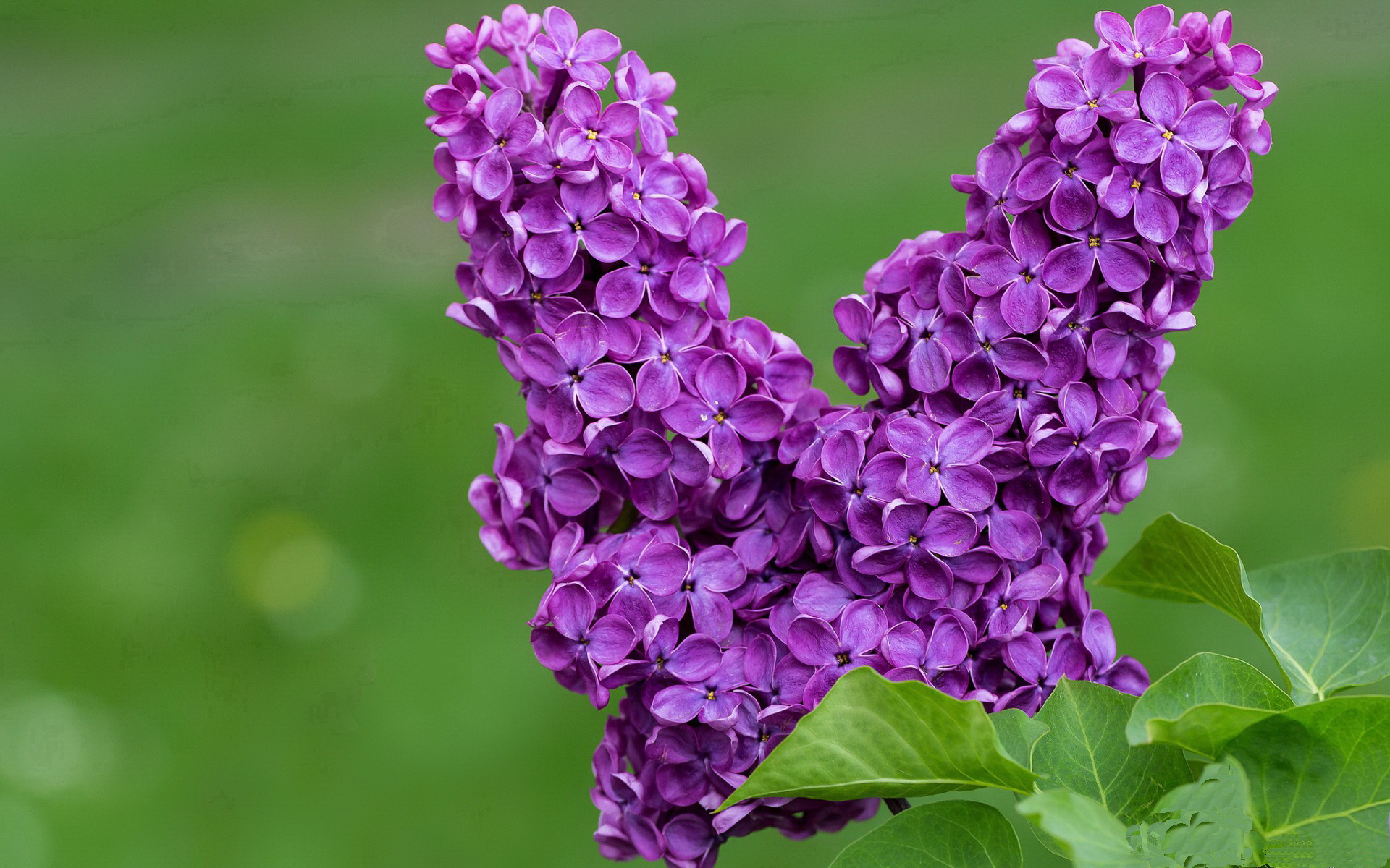 中国足球国家队深化快节奏传导打法体系演练，足球节奏训练